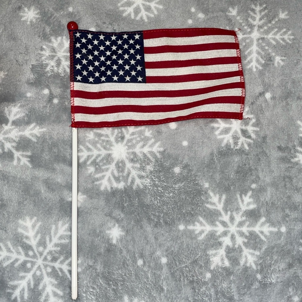 Small American Flag